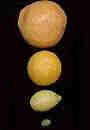olc_081_solar_system_story