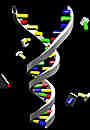 olc_107_human_genome_project_story