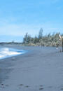 A sandy beach.