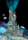 An underwater "chimney" mineral structure surrounded by a variety of sea animals, including tubeworms and fish.