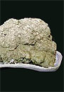 A lump of coprolite rock, which is fossilized dung from a Seismosaurus.