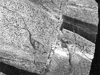 A piece of striated rock showing several small thin fissures throughout, and one large area where a section of rock is missing.