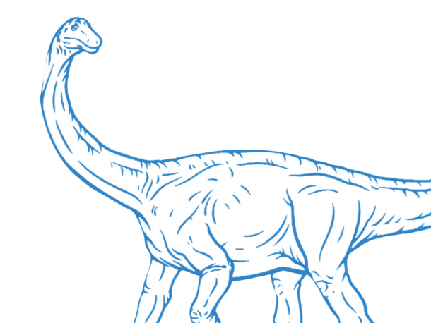 illustration of an apatasaurus