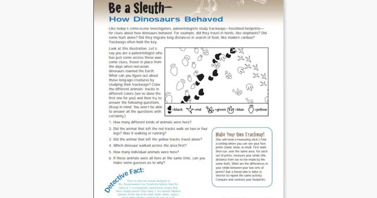 Be A Sleuth: How Dinosaurs Behaved | Amnh
