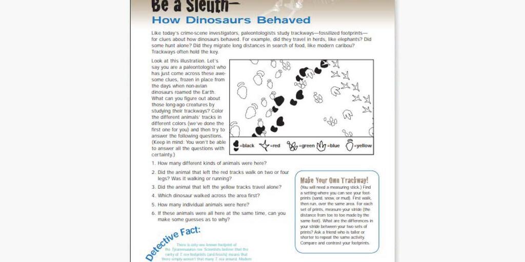 Be a Sleuth: How Dinosaurs Behaved | AMNH