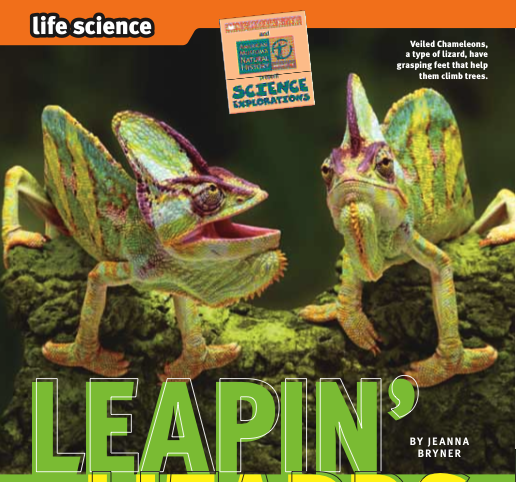 leapin-lizards_thumb