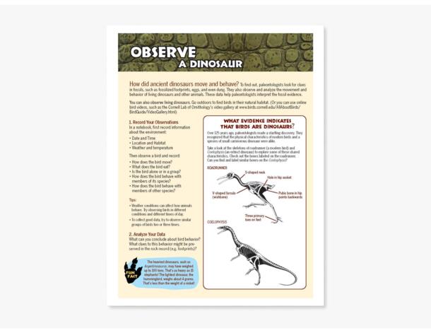 Small image of Observe a Dinosaur PDF