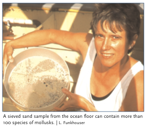 paula-mikkelsen-marine-invertebrates_thumb