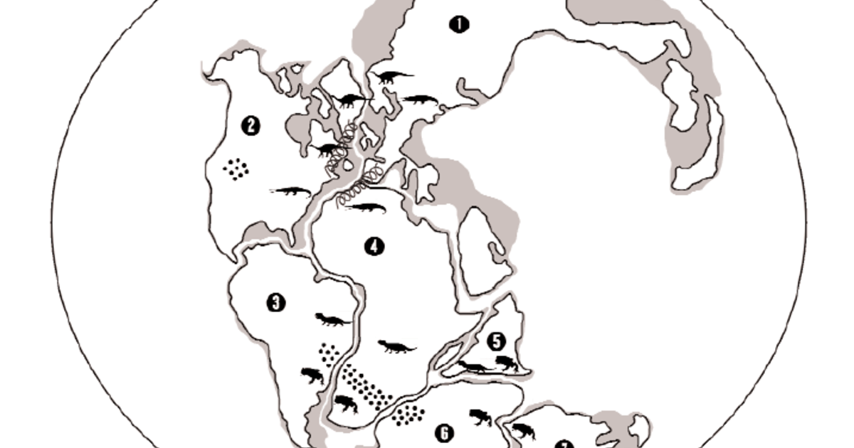 Plate Tectonics Puzzle: Activity for 4th/5th Graders | AMNH
