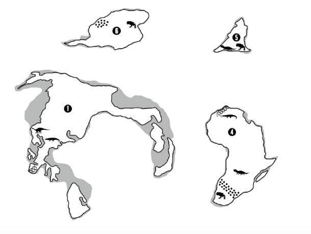 Plate Tectonics Puzzle listing image