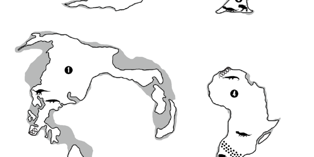 Plate Tectonics Puzzle: Activity for 4th/5th Graders | AMNH
