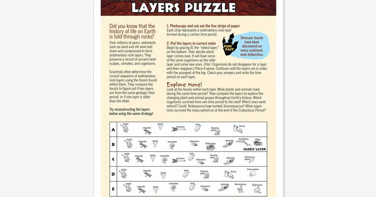 solve sedimentary layers puzzle for grade schoolers amnh