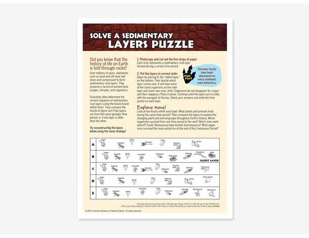 Solve a sedimentary layers puzzle listing image