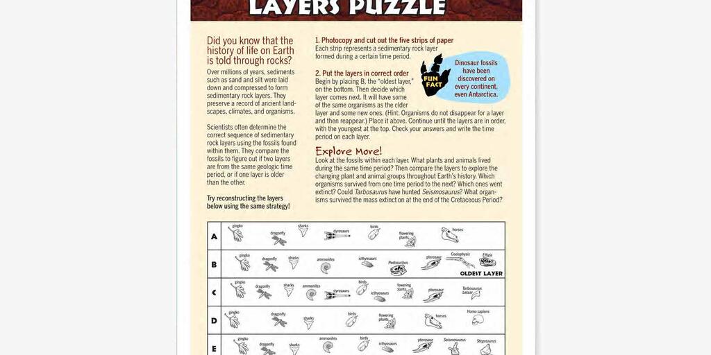 Solve Sedimentary Layers Puzzle for Grade Schoolers | AMNH