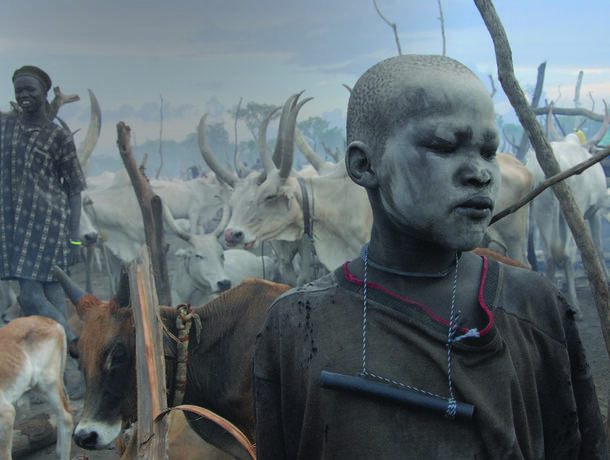 A young person with their face covered in a light colored material stands in front of a herd of cattle.