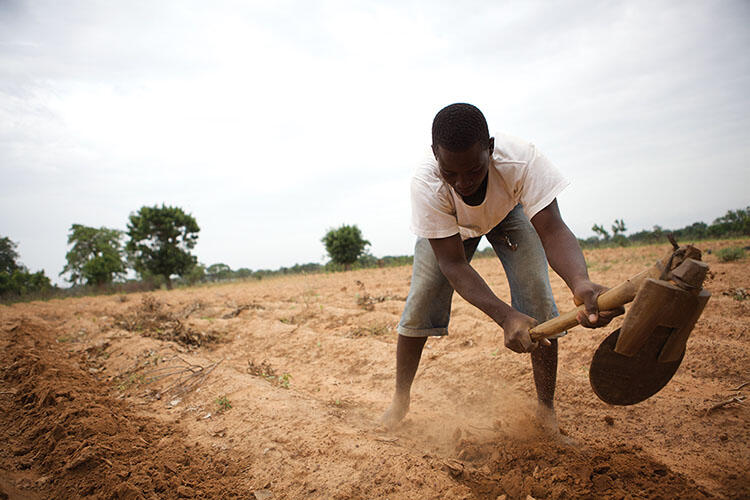Suleiman Alidu hunches over to work in a field using a long wooden tool.