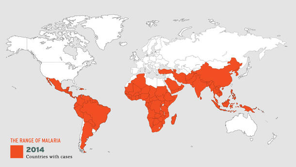 A map of the world with countries with cases of malaria in 2014 highlighted in a bright color.