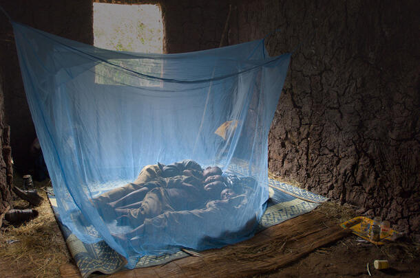 Four children sleep on a mat on the floor beneath an insecticide-treated bed net.