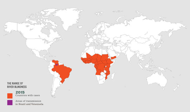World map with countries with cases of river blindness in 2015 in one color and areas of transmission in Brazil and Venezuela in another color.