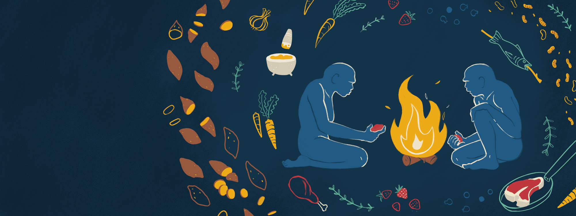 Fire and the Brain How Cooking Shaped Humans AMNH