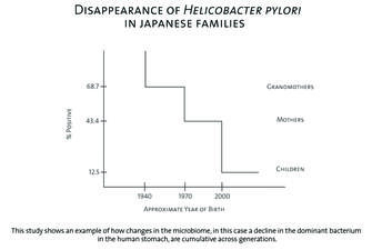 A graph titled, “Disappearance of Helicobacter pylori in Japanese families” shows a decline in the dominant bacterium in the human stomach across three generations.