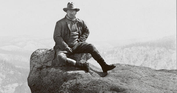 Theodore Roosevelt Yosemite sitting