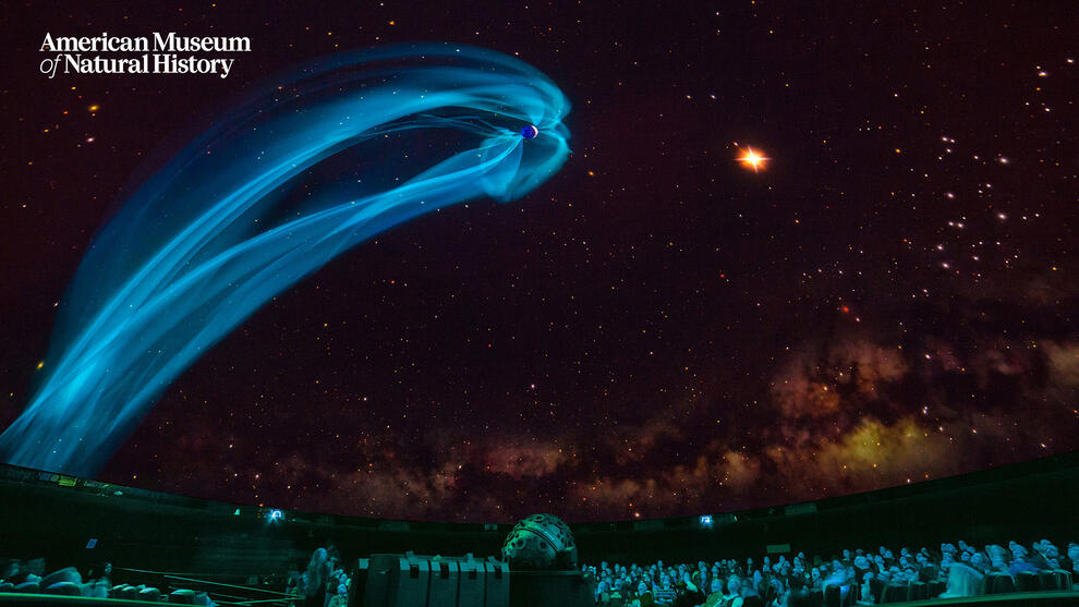 Audience at the Hayden Planetarium watches the screen which displays an object hurtling through star-filled outer space followed by a stream of light.