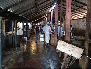 A long indoor market with people standing at various stalls.