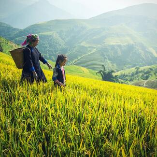 An adult wearing a headscarf and a basket on their back and a child walk through tall grass with verdant mountains in the background.