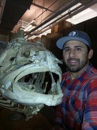Christopher Martinez poses beside the fossil skeleton of a large fish with a gaping mouth.
