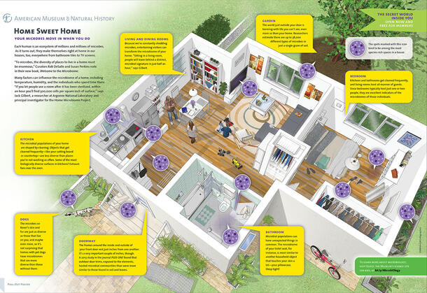 Illustration of a home with labels showing where microbes can be found in a home.