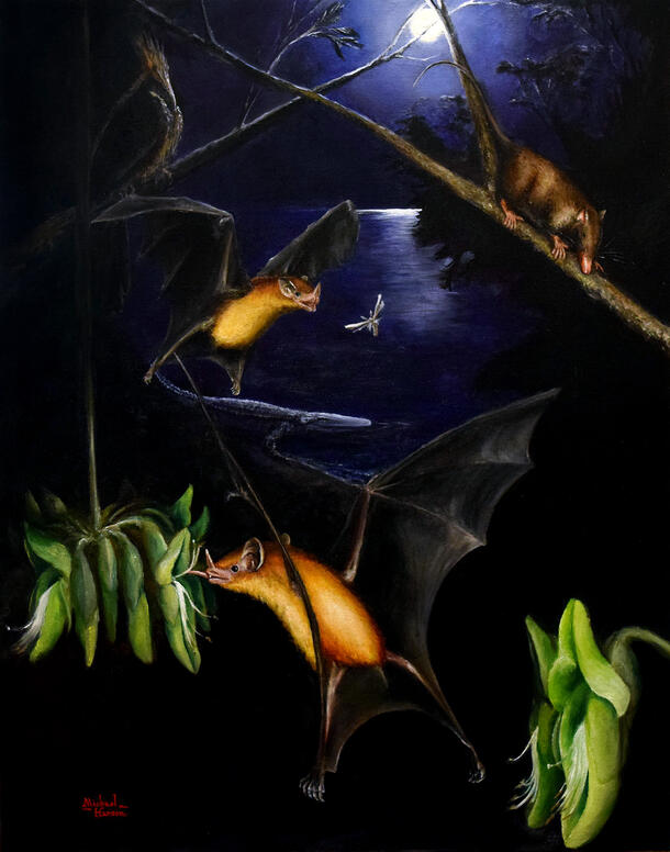 Painting of two Palynephyllum antimaster bats at night, one eating a plant and another trying to eat a bug, in a tree along with a mammal and a bird.