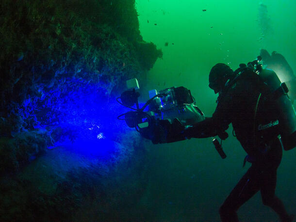 Underwater scientist wearing diving gear points large camera and glowing light toward rock structure to capture biofluorescent images.