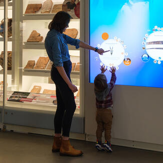Adult and child view a digital display next to glass display cases containing specimens from the Museum's collections.