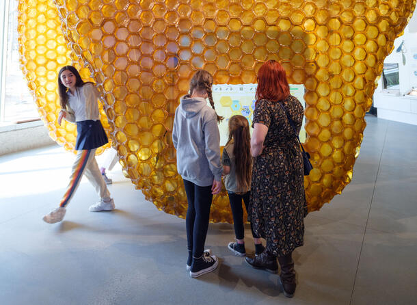 Adult and two children view a screen placed inside a larger-than-life model of a hive inside the Insectarium, while another child peers around the edge of the hive.