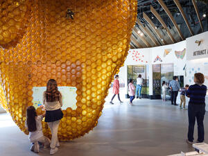 Nine guests in the Insectarium interact with various displays, including the Hive screen and the buttons on the Insect Orchestra wall.