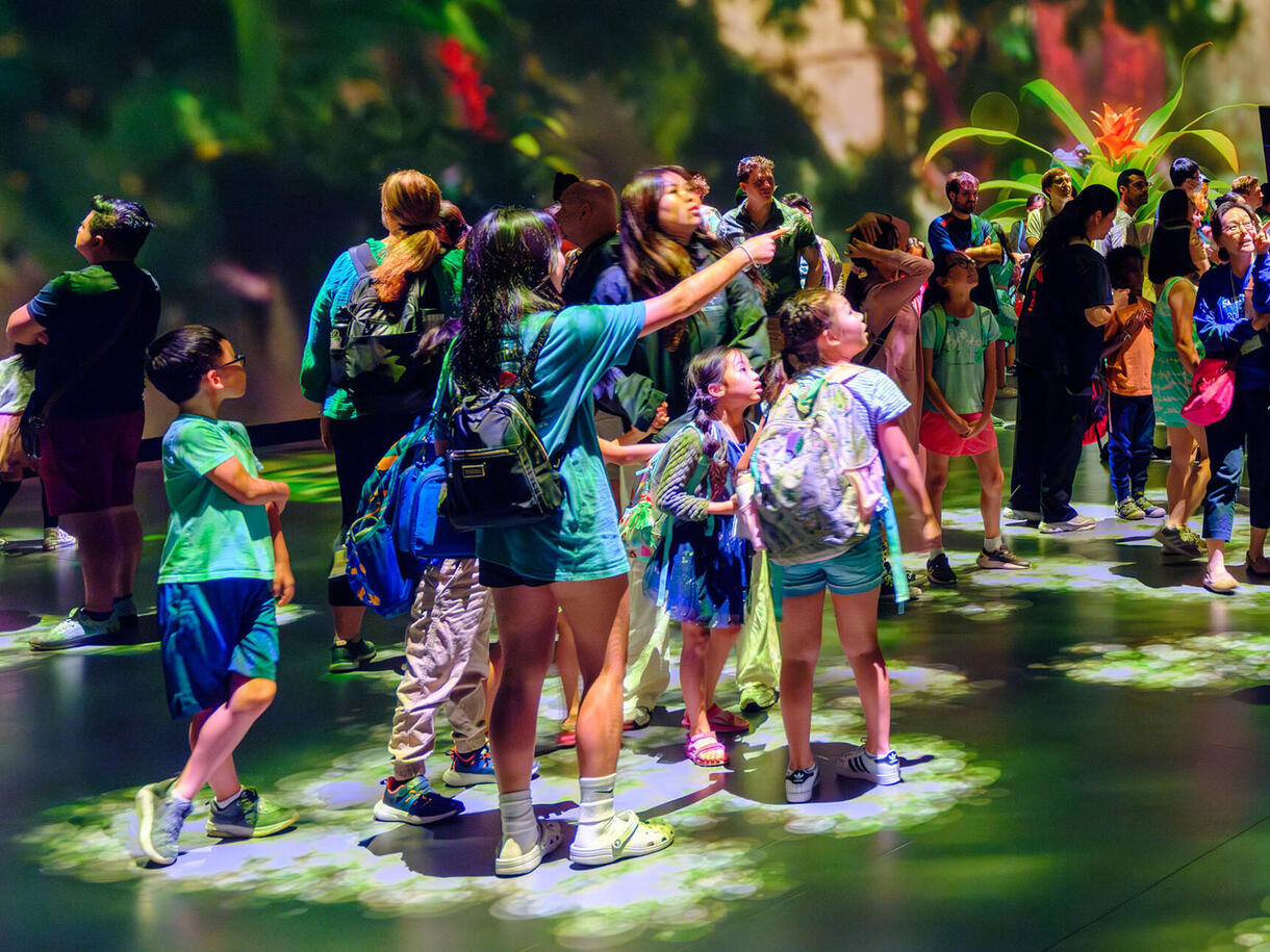Visitors stand inside the Invisible Worlds immersive theater, surrounded by projections.
