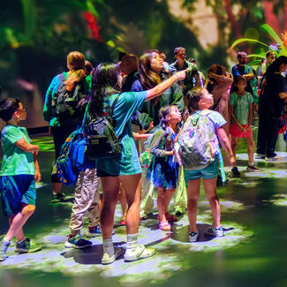 Visitors stand inside the Invisible Worlds immersive theater, surrounded by projections.