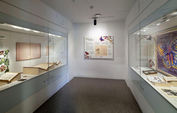 Small room with glass cases on either side containing illustrations and books.