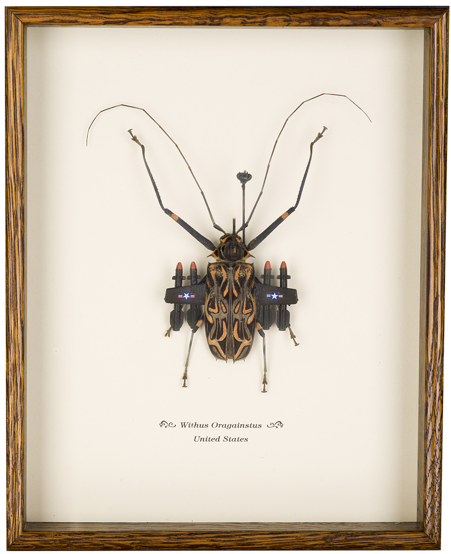 Artwork comprised of a large beetle with tiny airplane wings and missiles attached to it. Text reads "Withus Oragainstus".