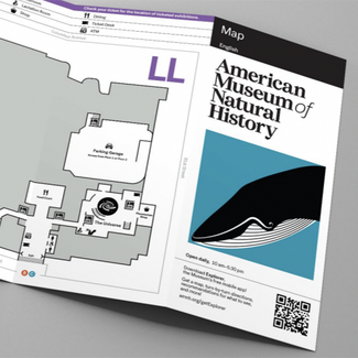 Fold-out map for the American Museum of Natural History, with an illustration of the iconic blue whale on the front cover;