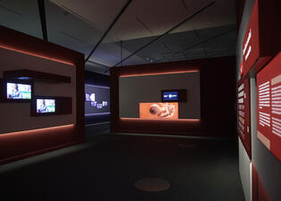 On the walls of an empty room, there are an illustration of a human fetus in utero, two video displays of a person speaking, and panels with text.