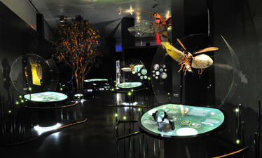 A darkened room is filled with glowing graphics and label decks and oversized models of fireflies