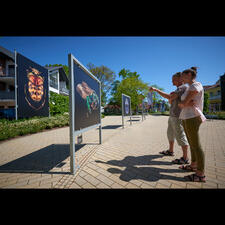 A man and woman standing outside looking at a photograph of an insect on display.