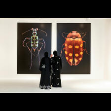 Two woman look at large-scale photographs of insects on display in a gallery.