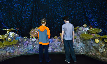 Two boys are viewed from behind as they look at a large recreation of a coral reef