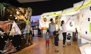 Visitors look at large colorful graphic panels and label decks