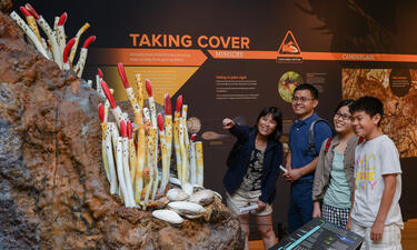 Visitors look at a model of a hydrothermal vent