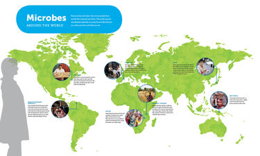 An infographic shows a map of the world and examples of different microbes found in different regions