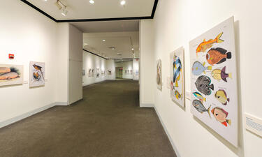 A hallway is decorated with illustrations of ocean life; in the immediate foreground is an image of colorful fish